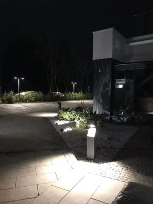 Hochleistungs-COB-LED-Bollard-Leuchten, Außen-Aluminium-Grasen-Straßenleuchten