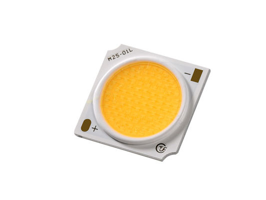 Wasserdichte Chip LED COB 30W für Farbbeleuchtung ANSI Standard