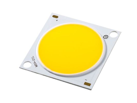 Integrierte 300 Watt COB LED für die kommerzielle Beleuchtung Fotografie Licht